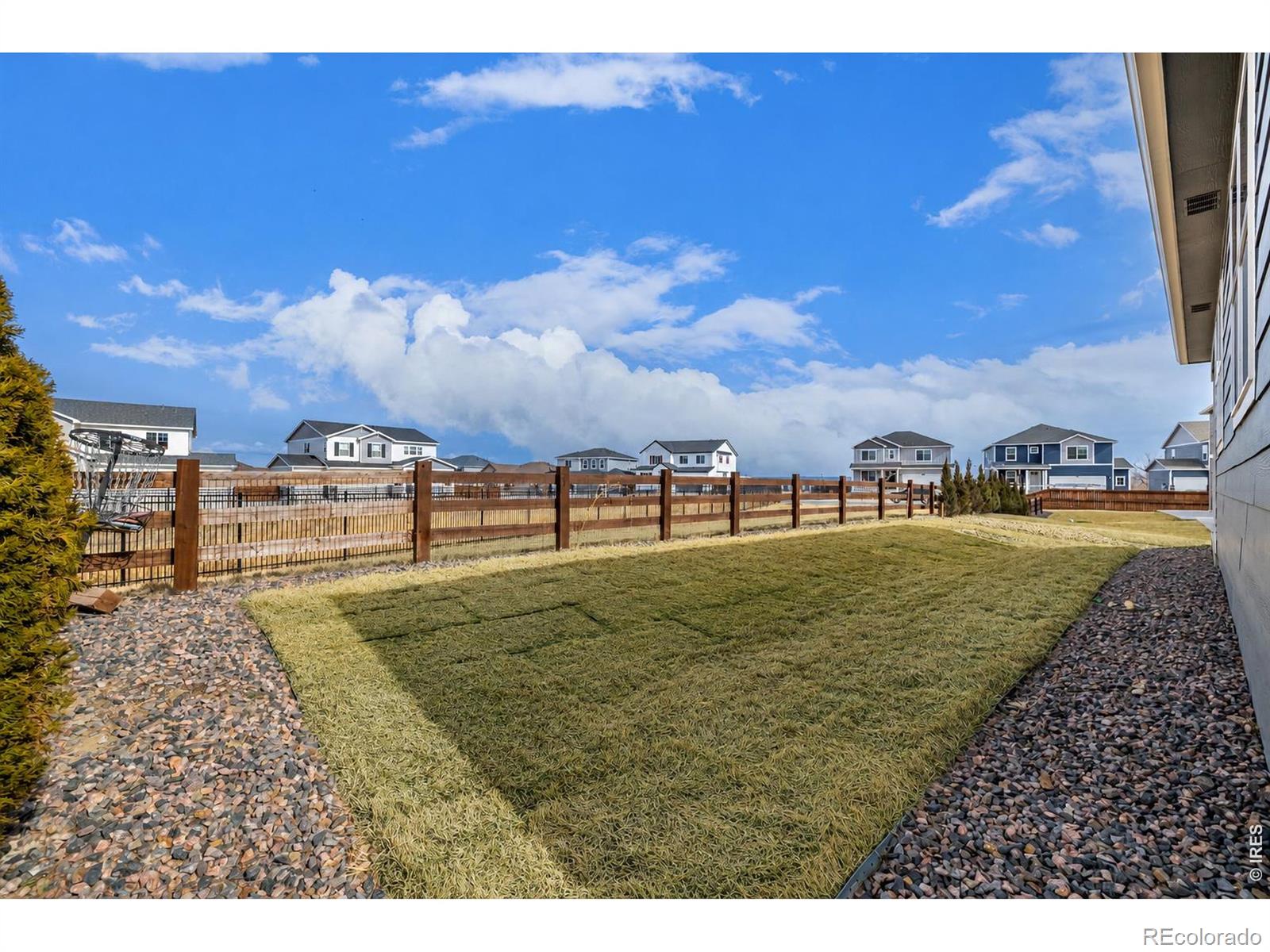 5411 Tulim Lane Windsor CO 80528