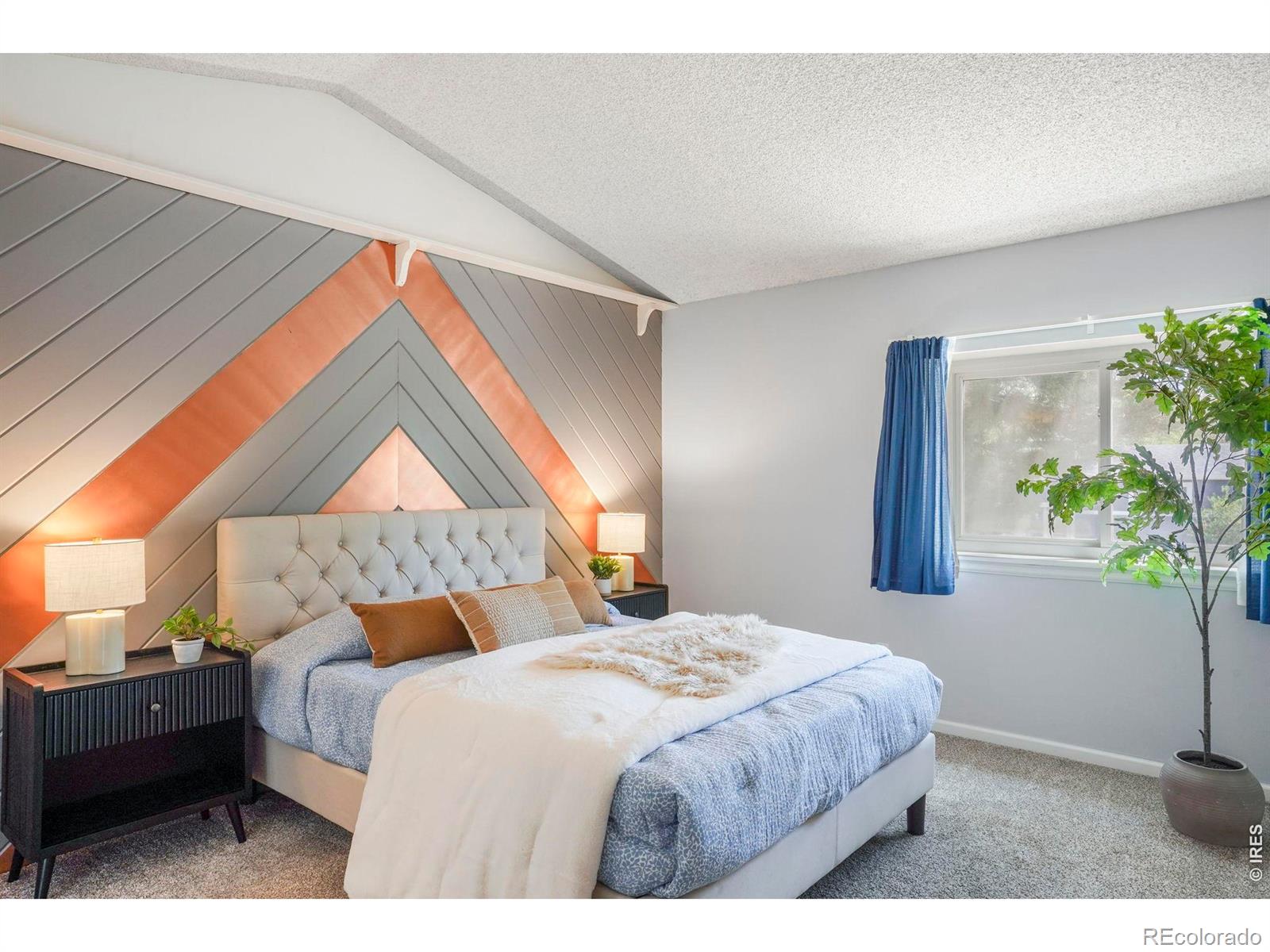 2460 Sunset Drive Longmont CO 80501