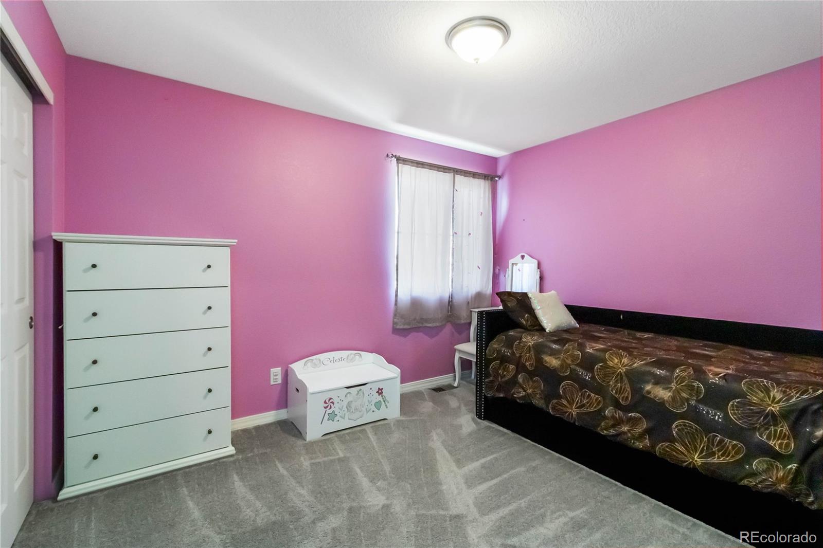17439 E 103rd Place Commerce City CO 80022
