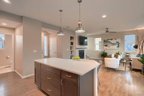 17126 E Cedar Gulch Drive Parker CO 80134