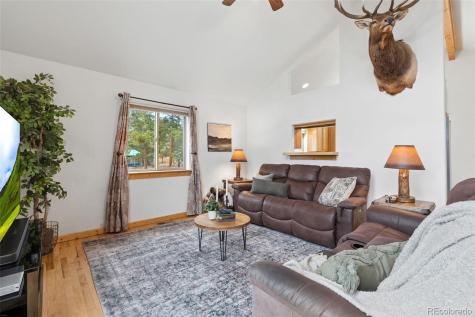 34 S Circle Drive Bailey CO 80421
