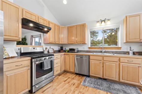 34 S Circle Drive Bailey CO 80421