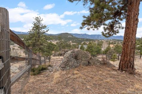 34 S Circle Drive Bailey CO 80421
