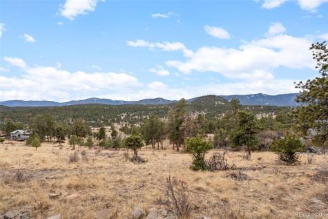 34 S Circle Drive Bailey CO 80421