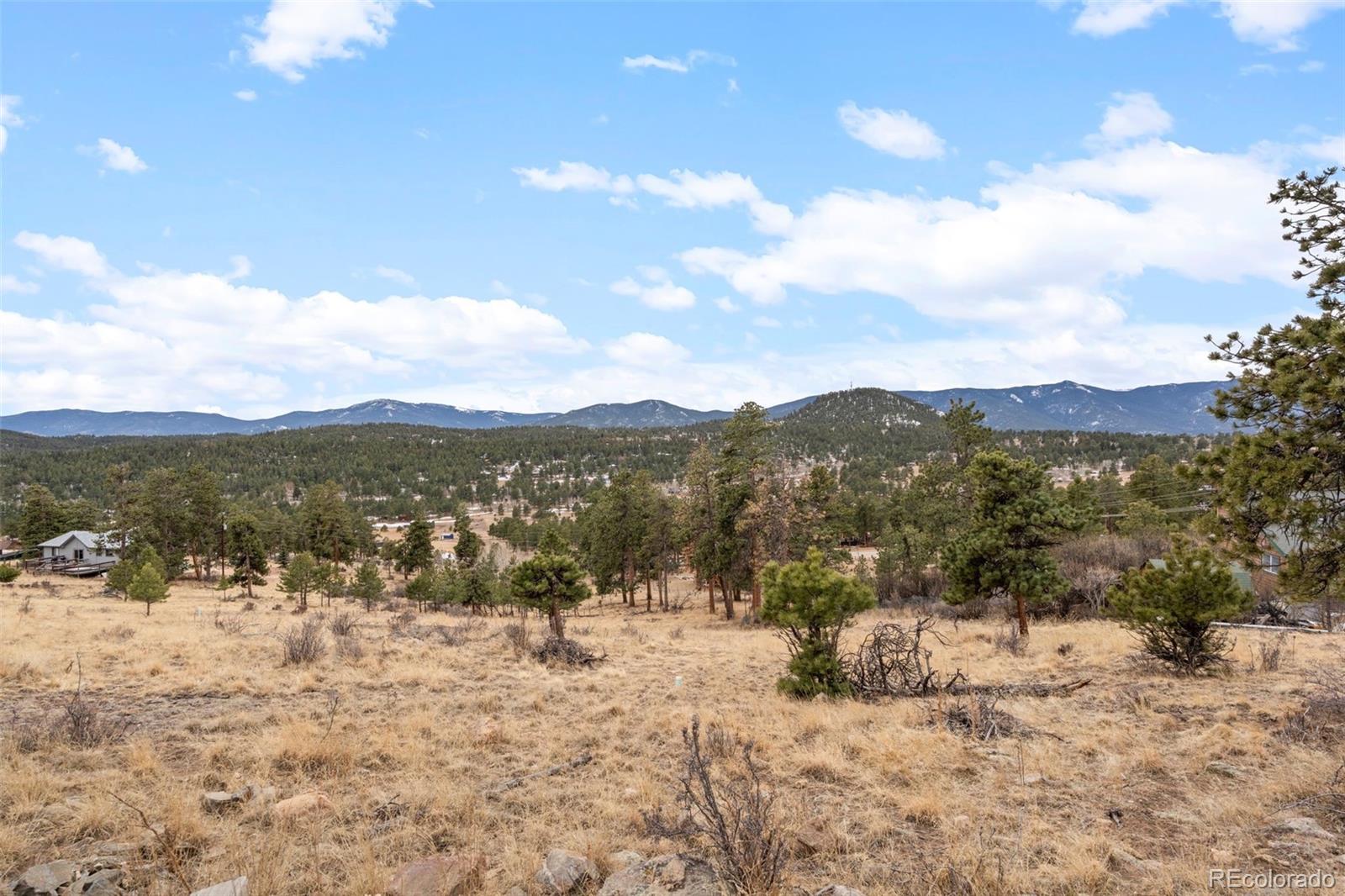 34 S Circle Drive Bailey CO 80421