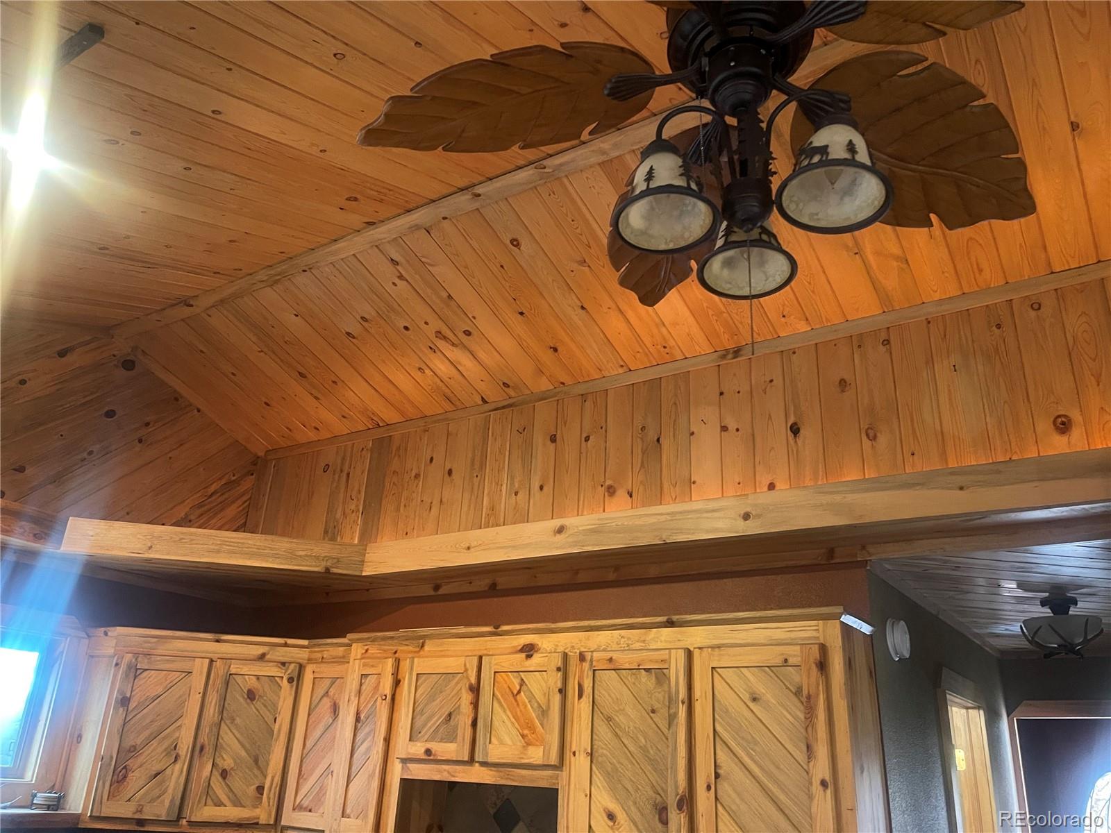 110 Wallace Drive Florissant CO 80816