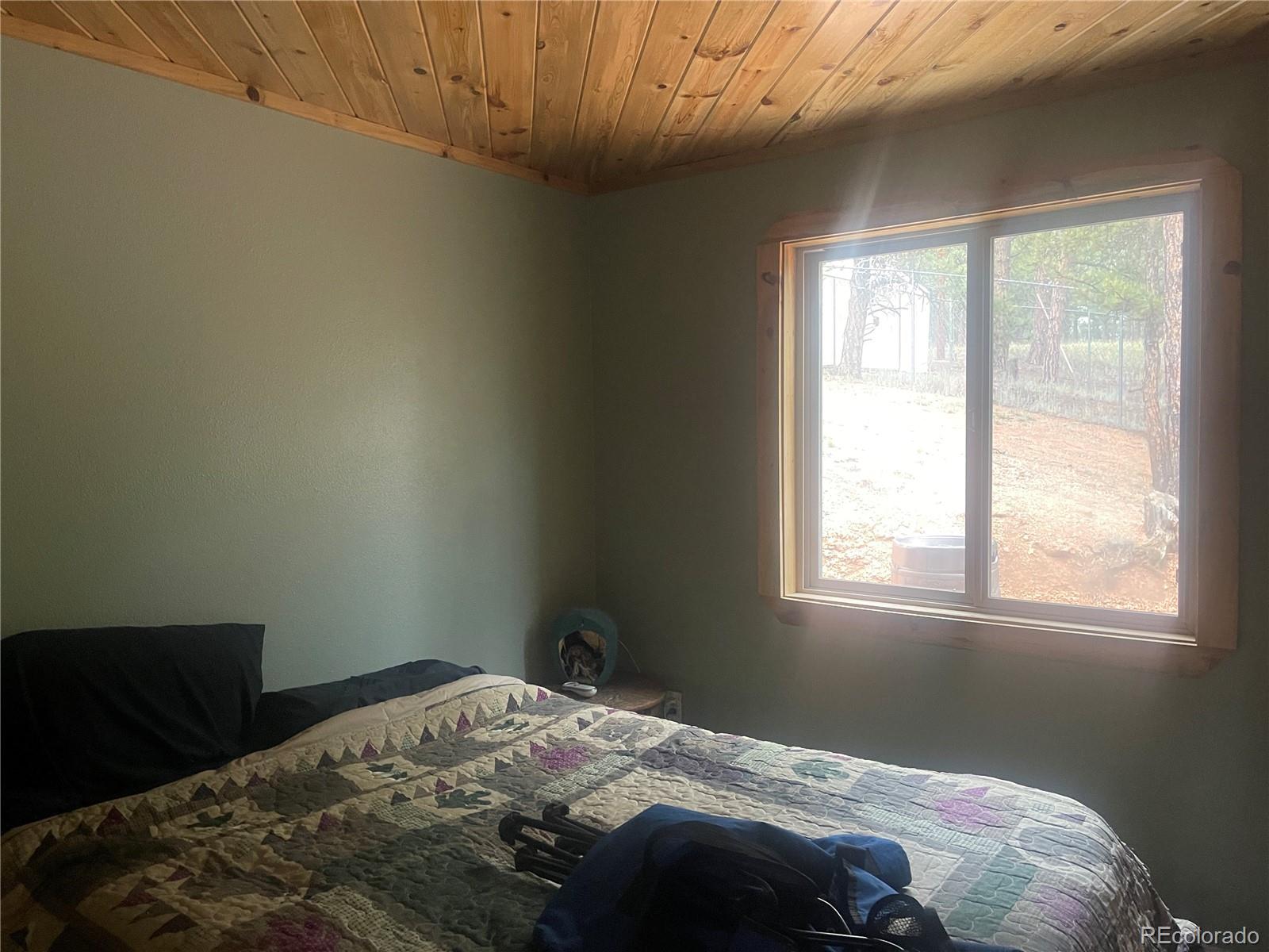 110 Wallace Drive Florissant CO 80816