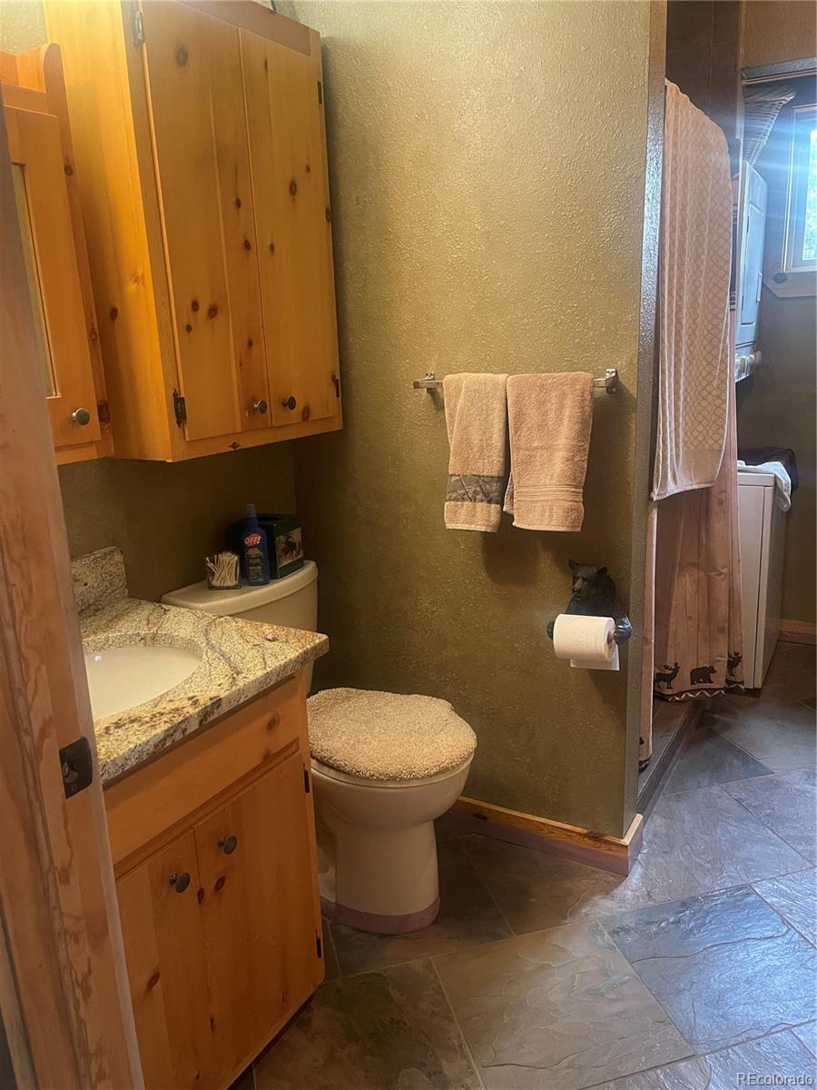 110 Wallace Drive Florissant CO 80816