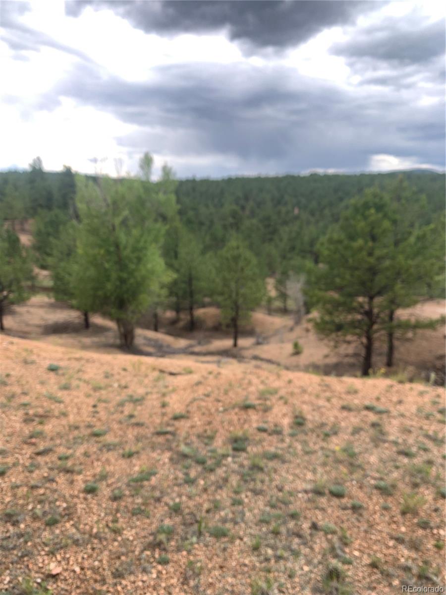 110 Wallace Drive Florissant CO 80816