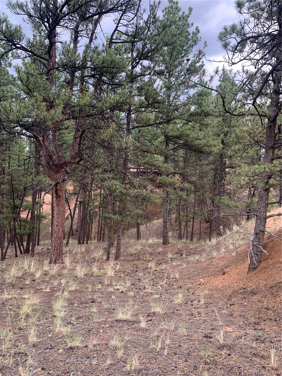 110 Wallace Drive Florissant CO 80816