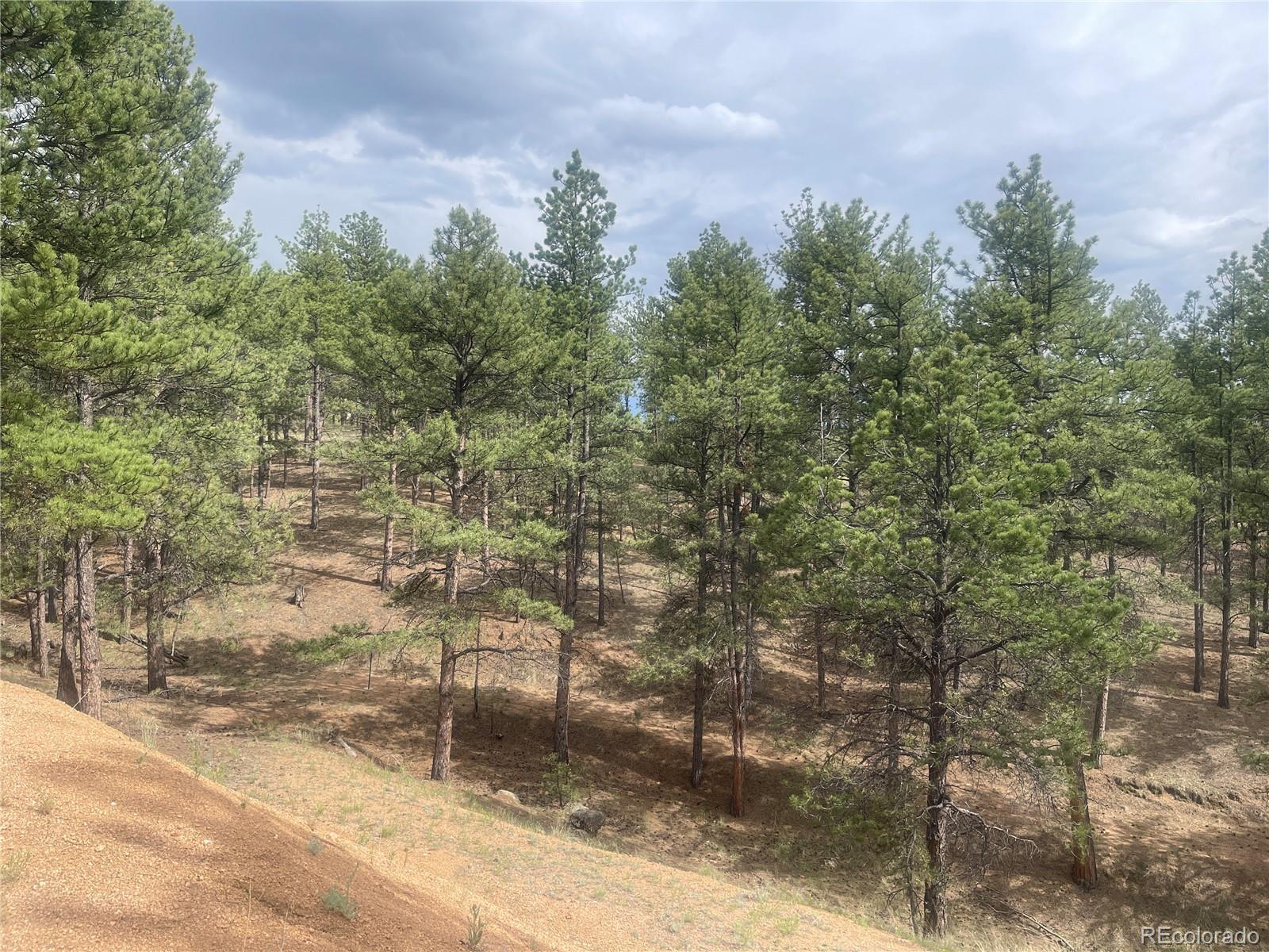 110 Wallace Drive Florissant CO 80816