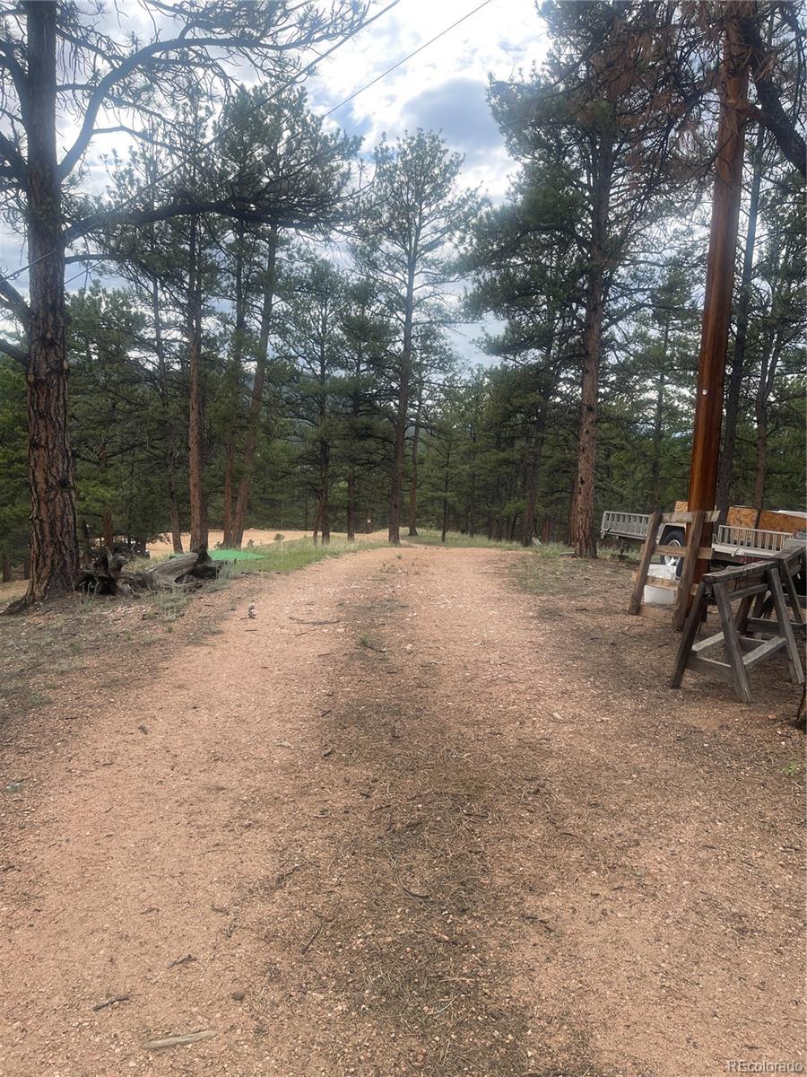 110 Wallace Drive Florissant CO 80816
