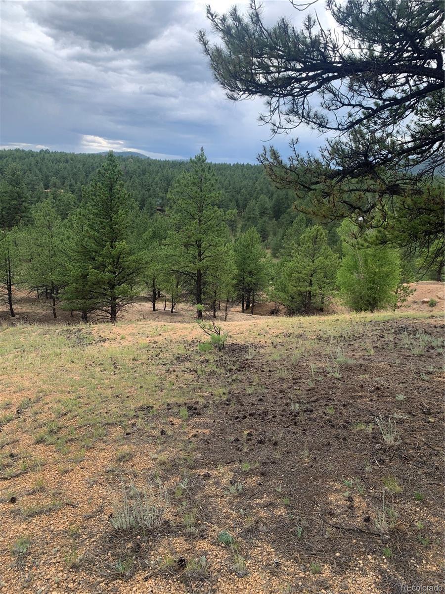 110 Wallace Drive Florissant CO 80816