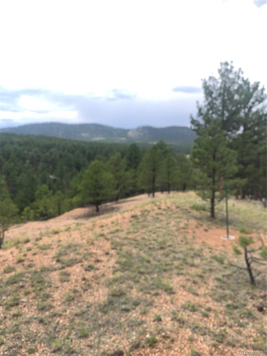 110 Wallace Drive Florissant CO 80816