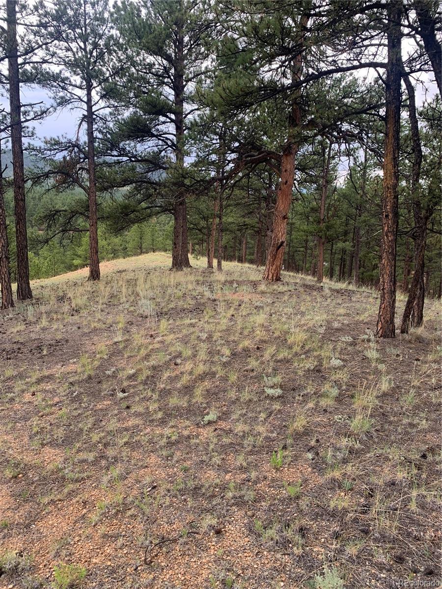 110 Wallace Drive Florissant CO 80816