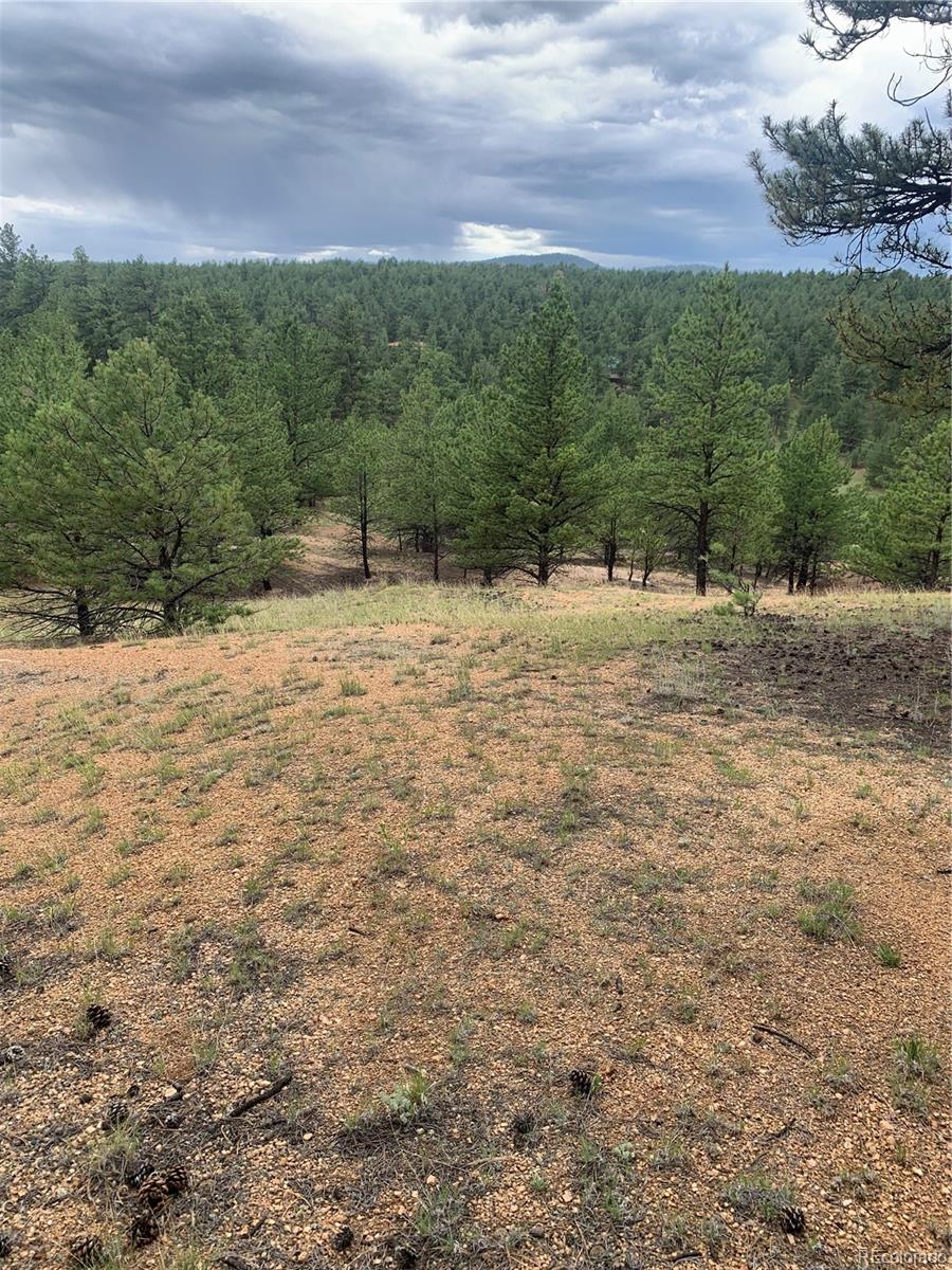 110 Wallace Drive Florissant CO 80816