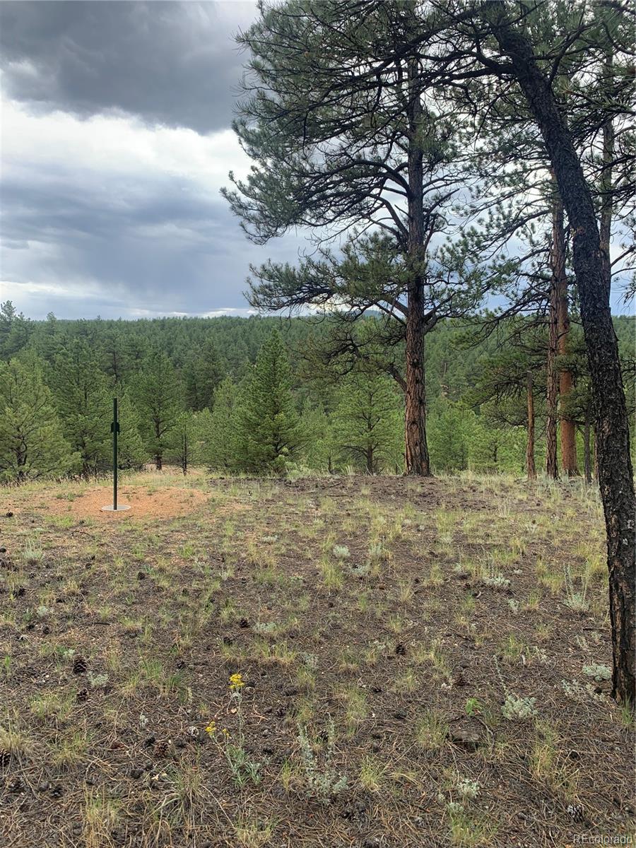 110 Wallace Drive Florissant CO 80816