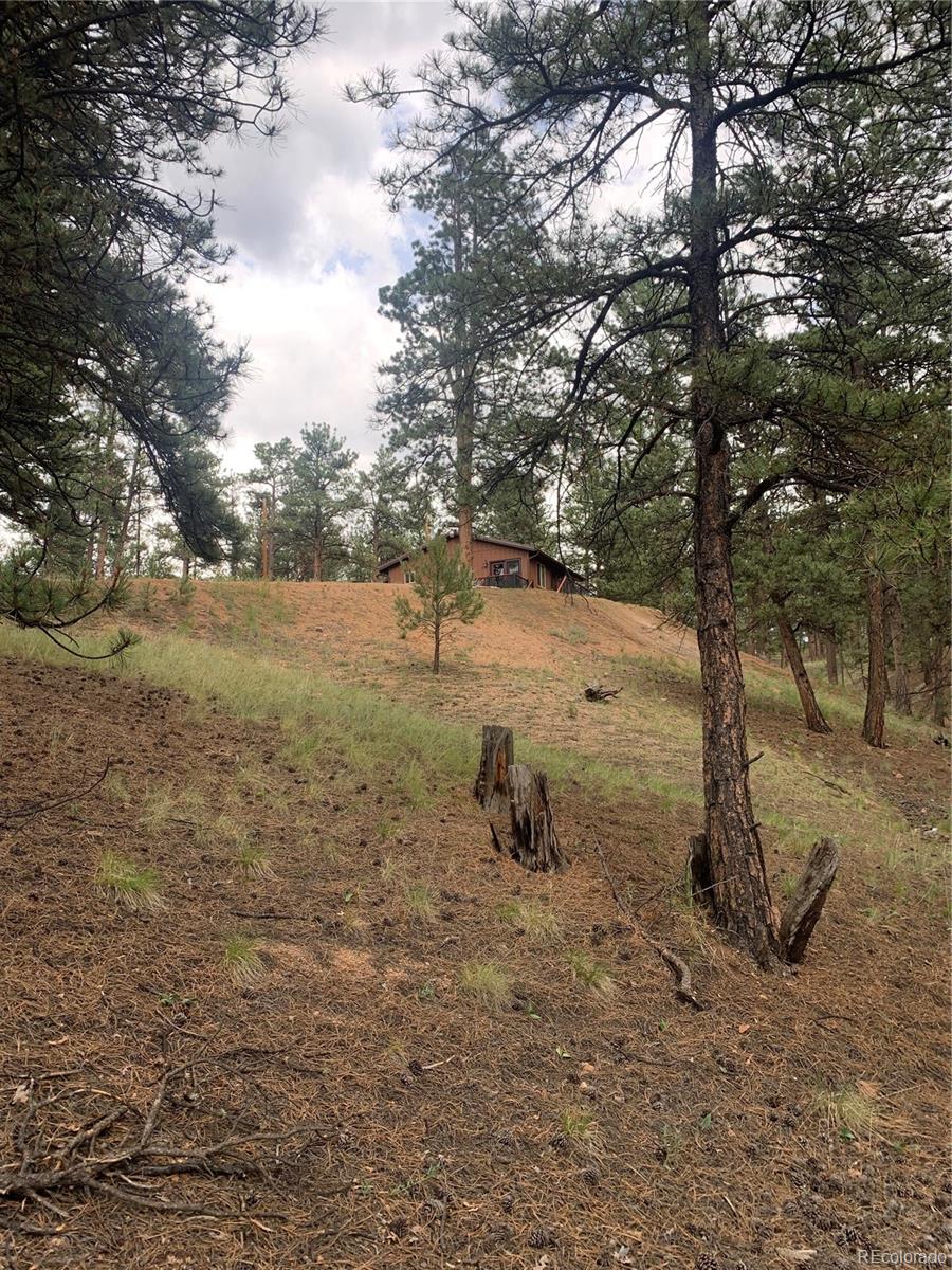110 Wallace Drive Florissant CO 80816