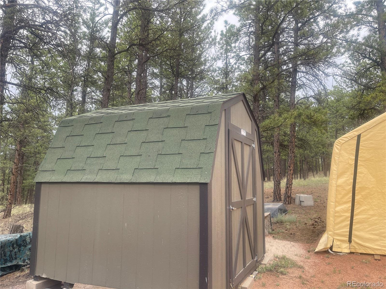 110 Wallace Drive Florissant CO 80816