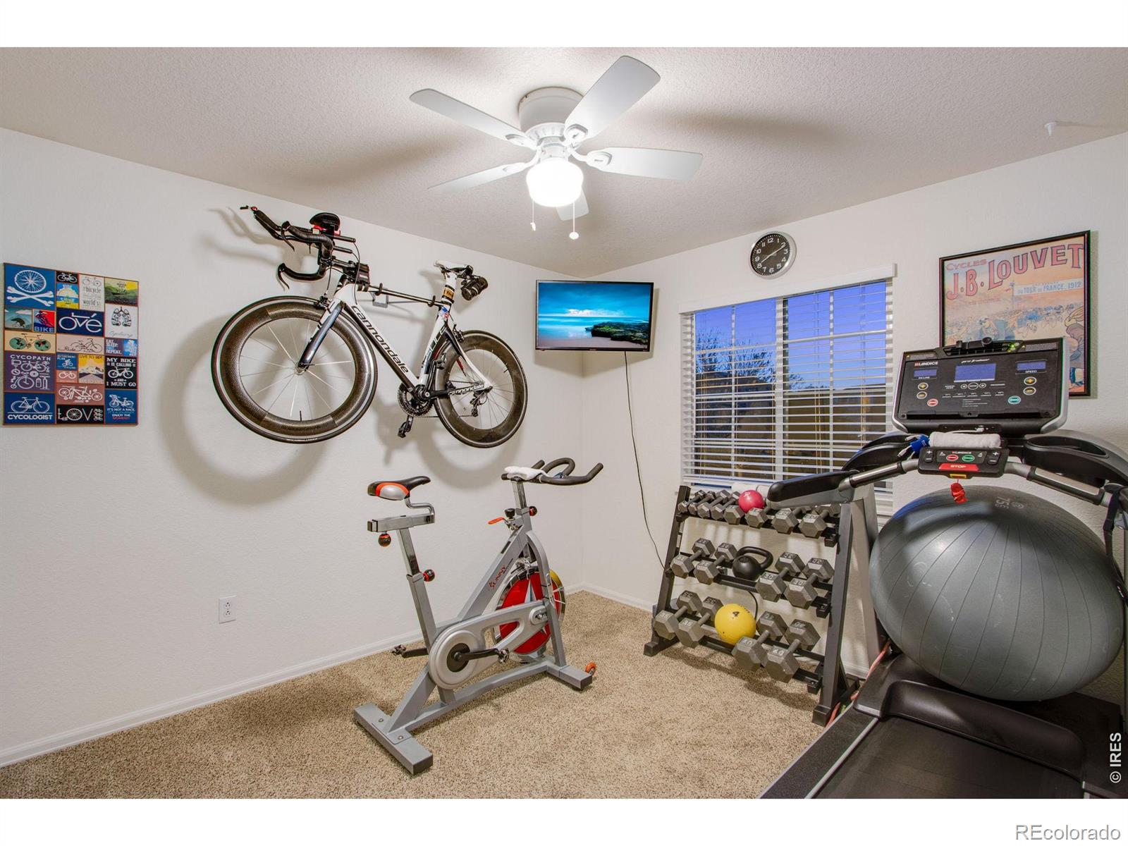 415 Peyton Drive Fort Collins CO 80525