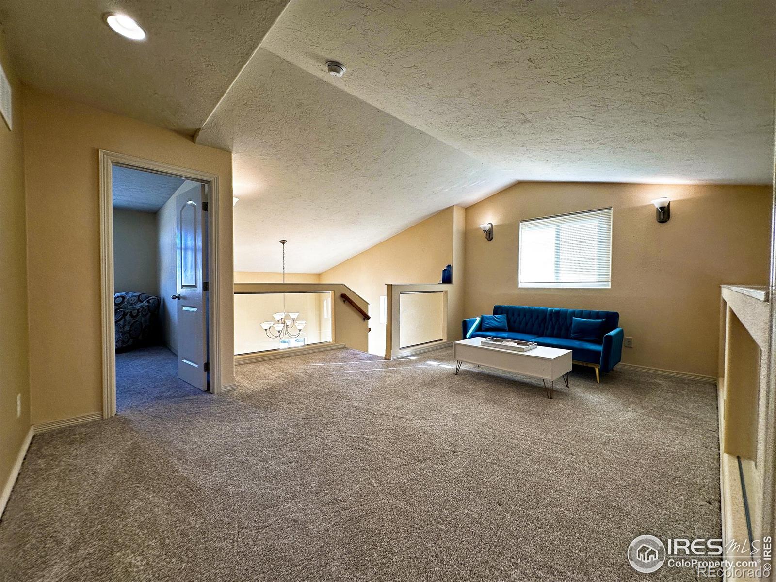 3323 Borrossa Street Evans CO 80634