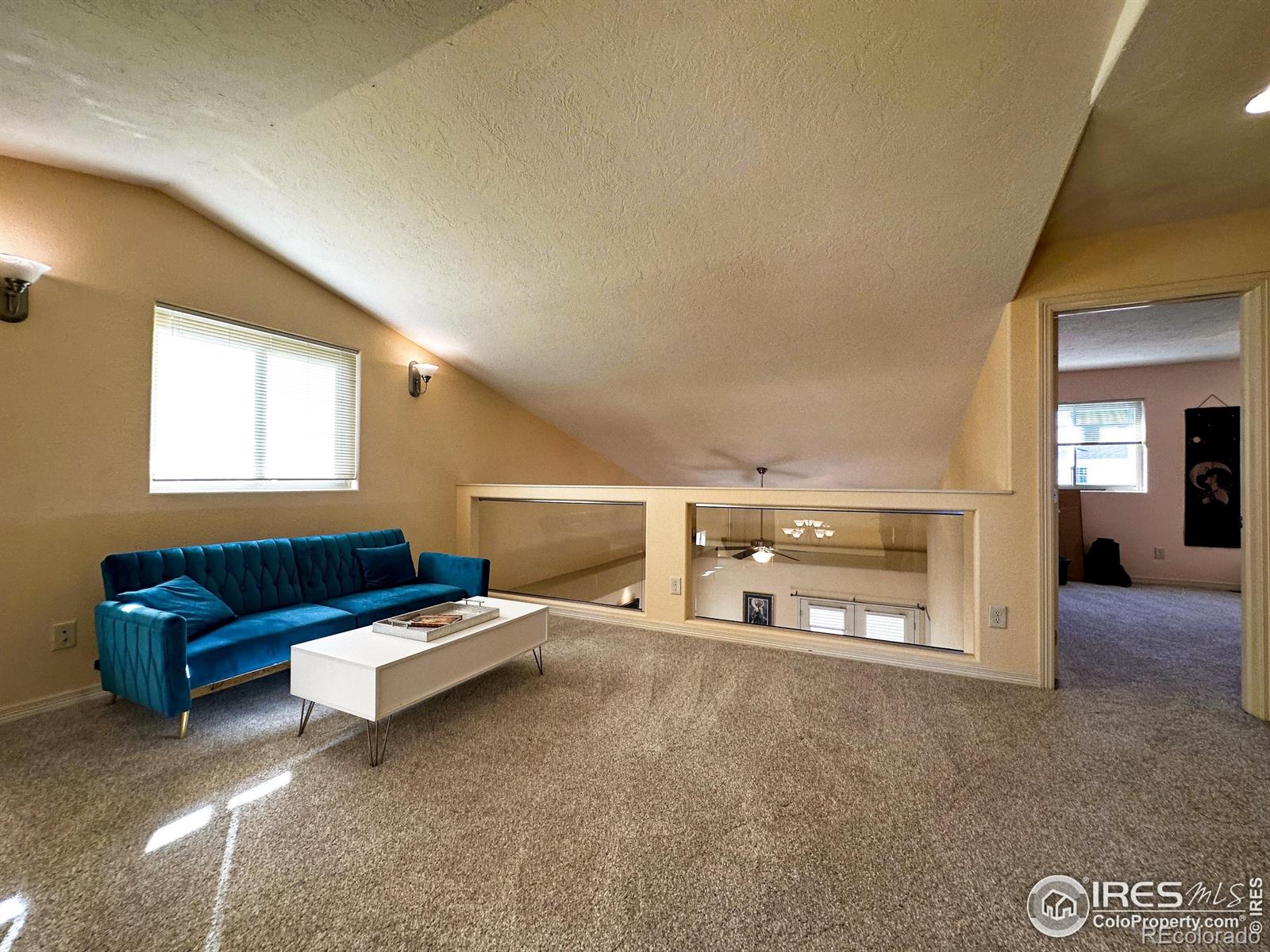 3323 Borrossa Street Evans CO 80634