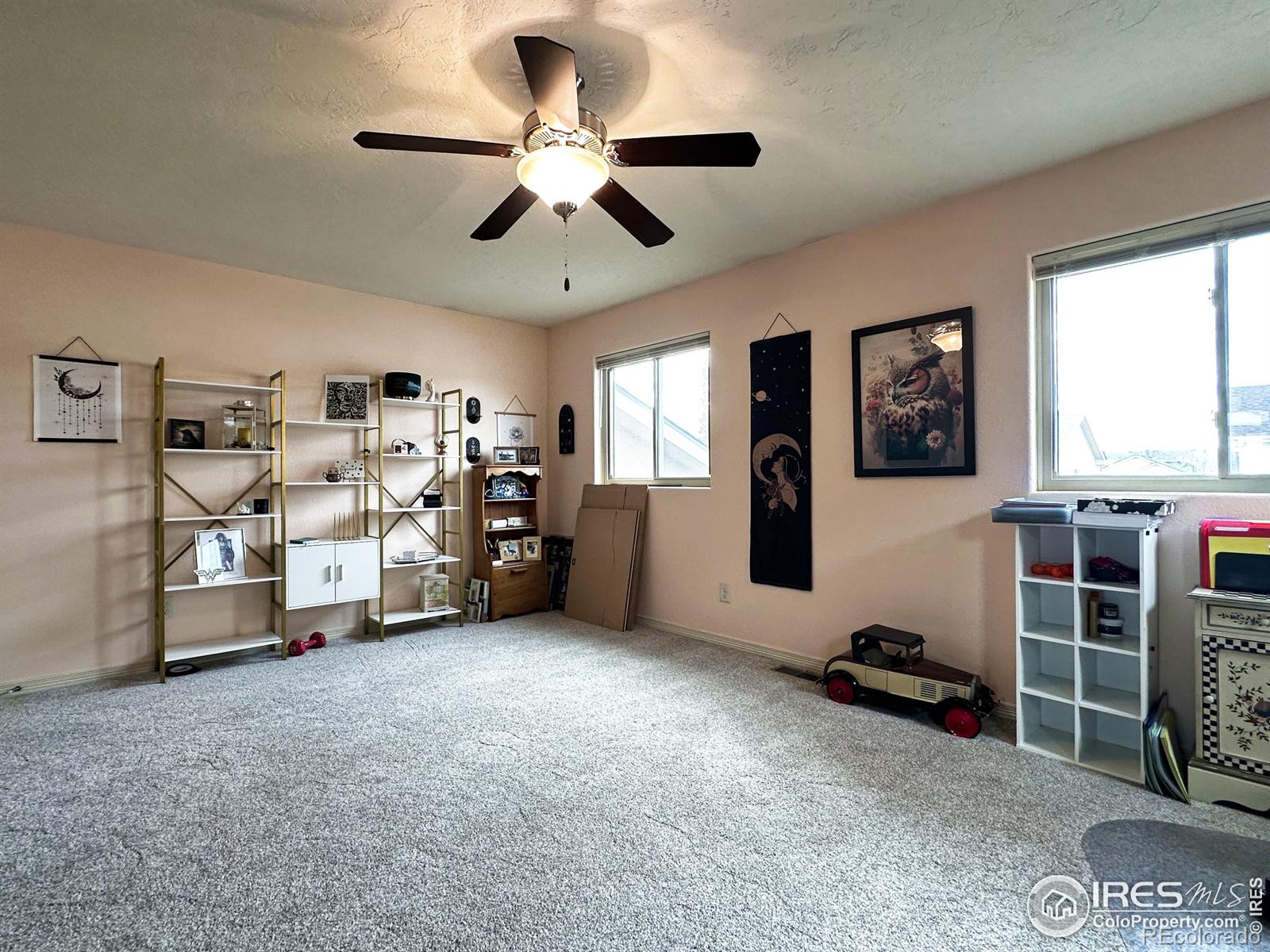3323 Borrossa Street Evans CO 80634