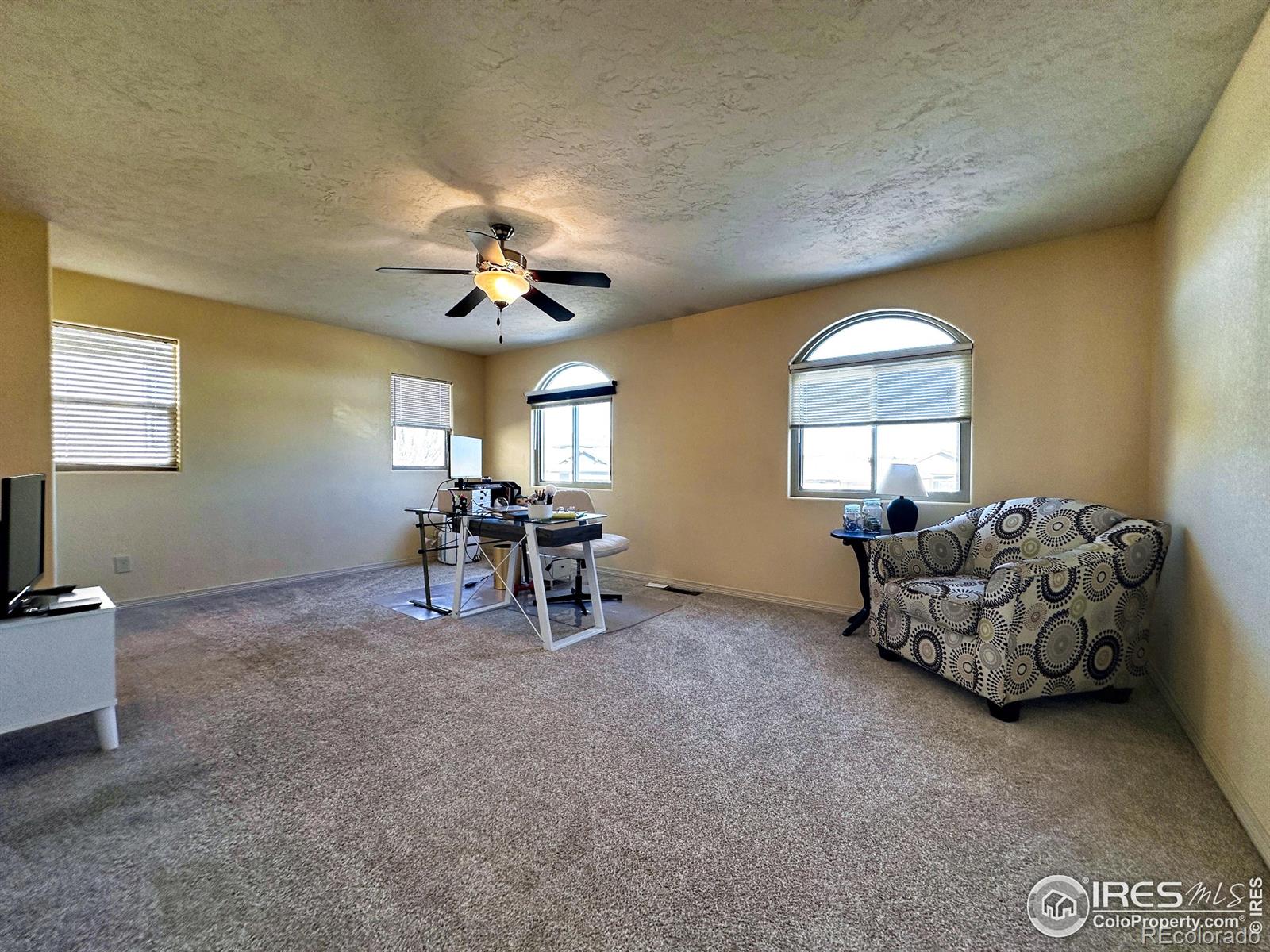 3323 Borrossa Street Evans CO 80634