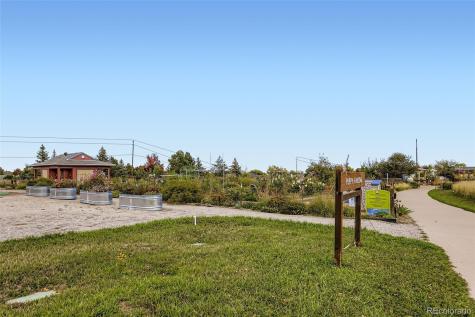 8364 Xenon Street Arvada CO 80005