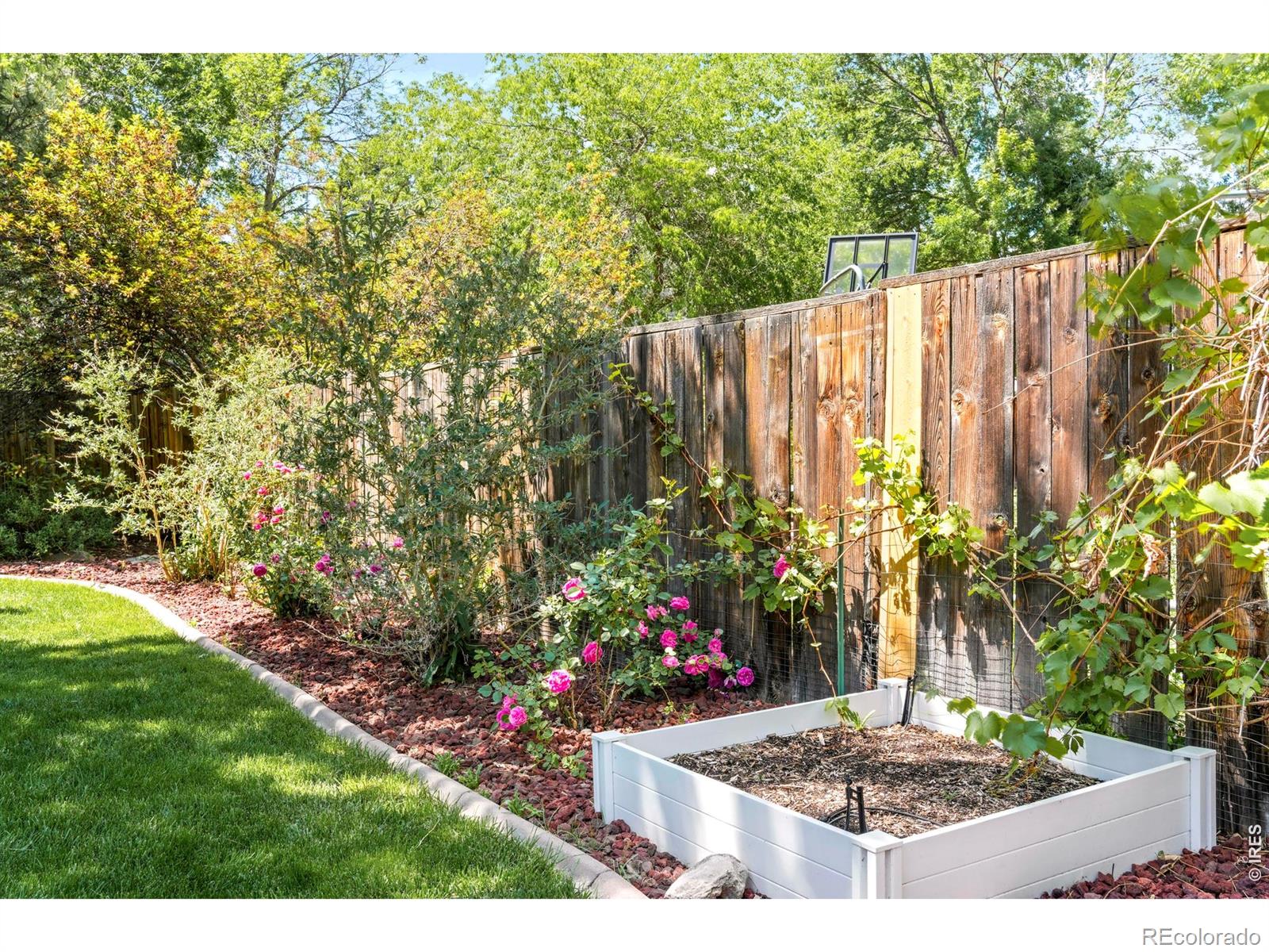 4501 Cliffside Court Fort Collins CO 80526