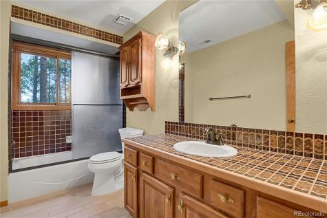 17520 Shiloh Pines Drive Monument CO 80132