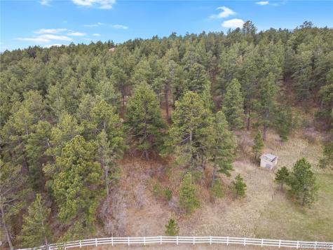 17520 Shiloh Pines Drive Monument CO 80132