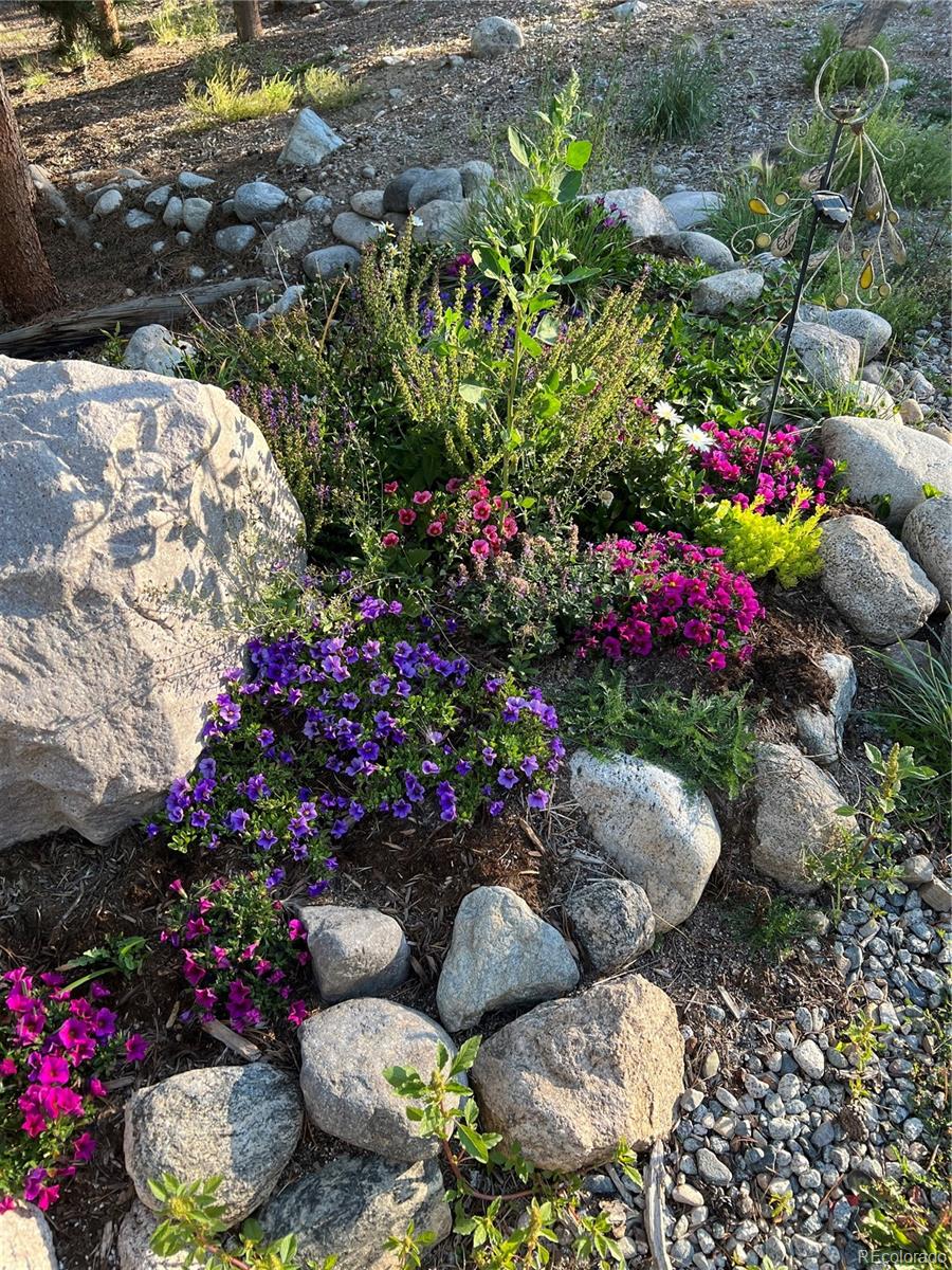 404 Quartz Drive Leadville CO 80461