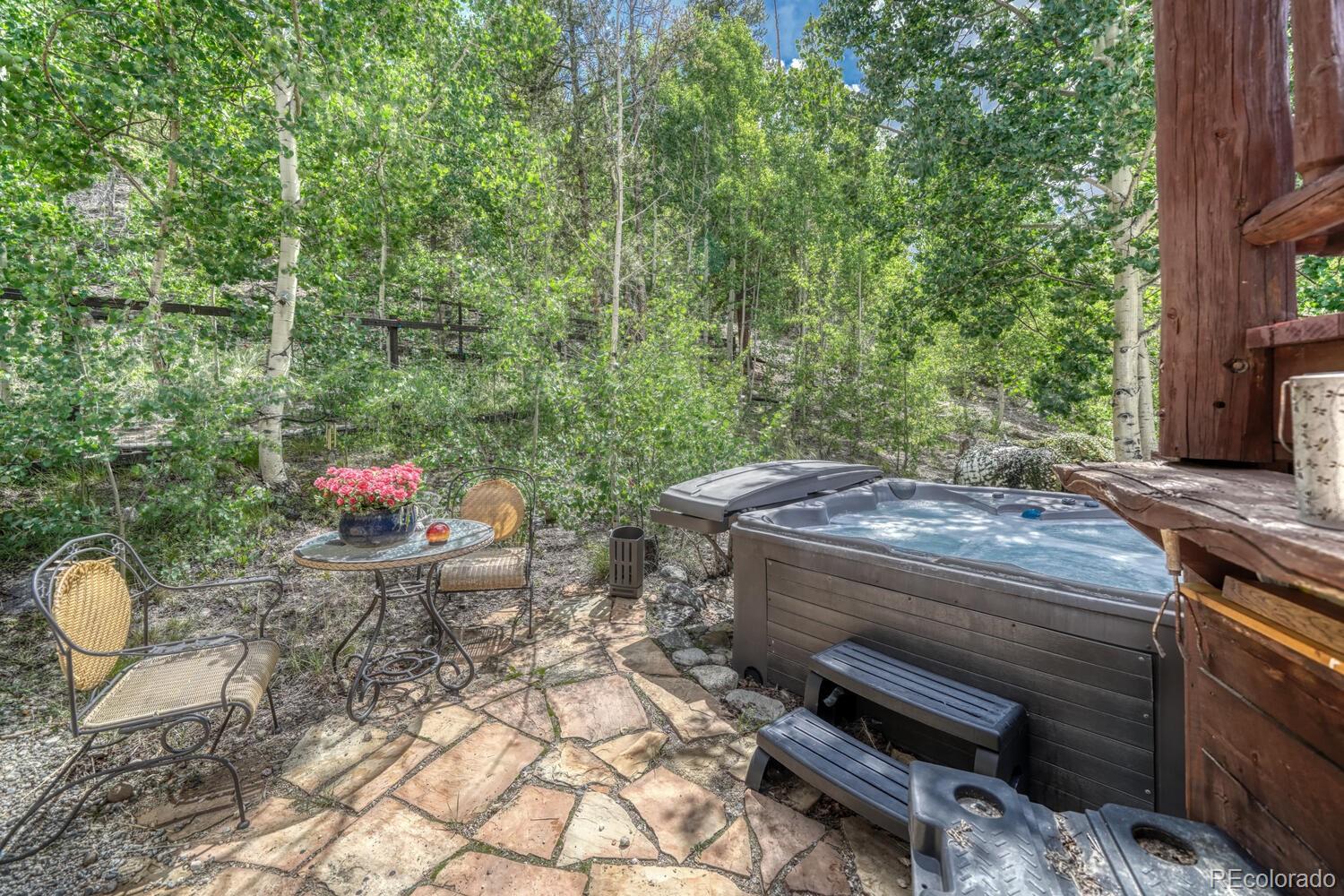 404 Quartz Drive Leadville CO 80461