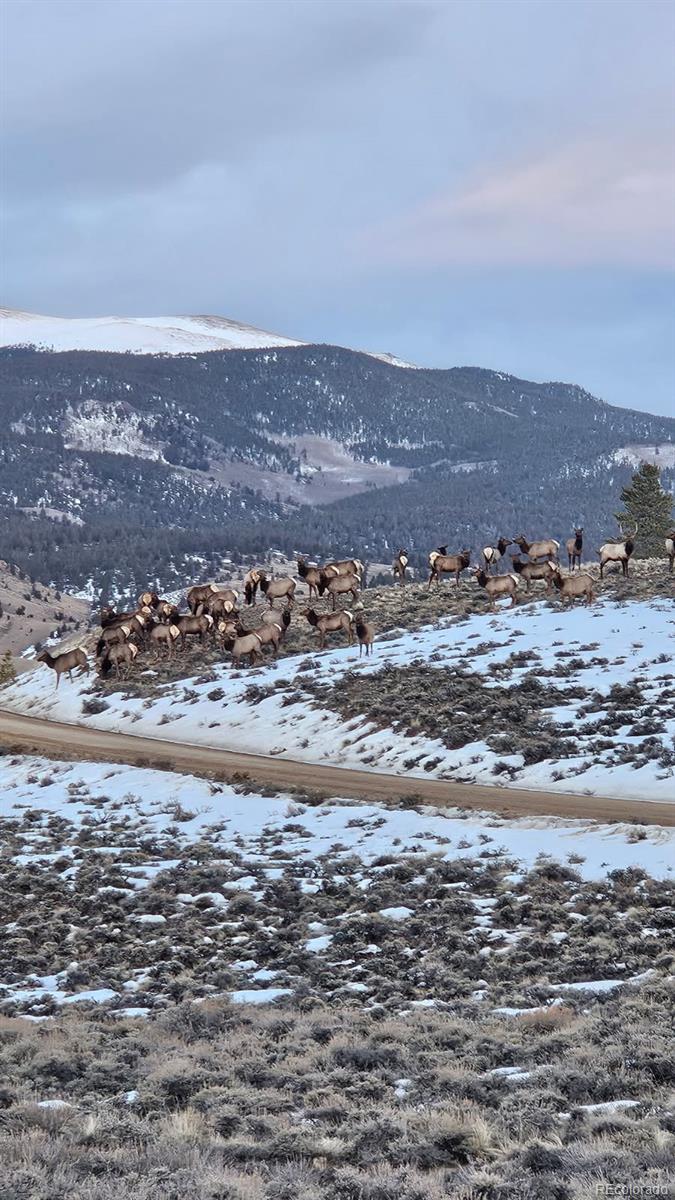 404 Quartz Drive Leadville CO 80461