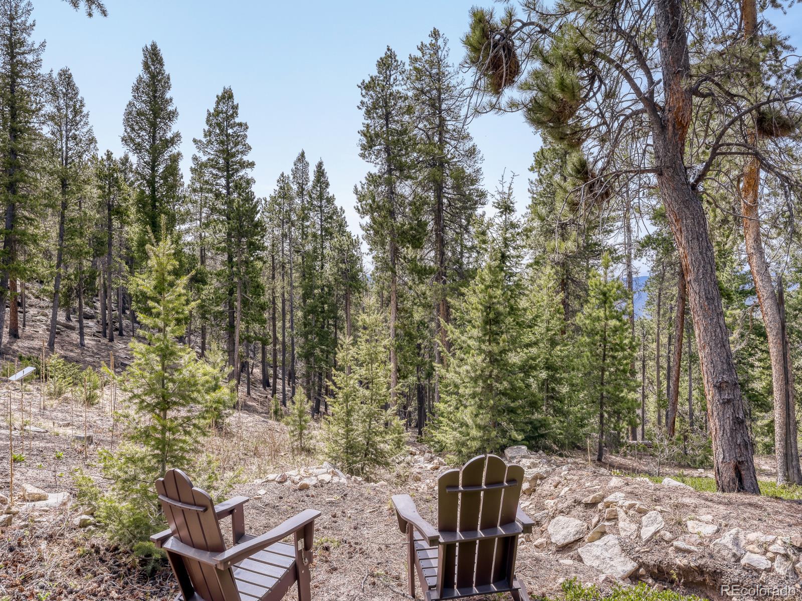 34628 Lyttle Dowdle Drive Golden CO 80403