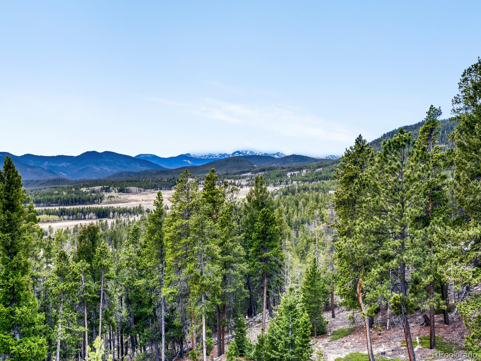 34628 Lyttle Dowdle Drive Golden CO 80403
