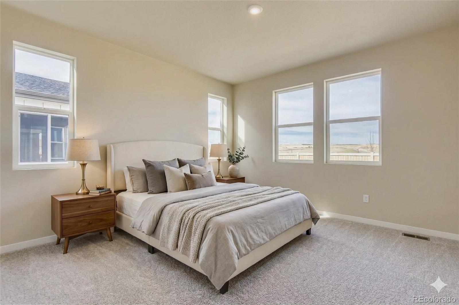 13783 Daffodil Way Parker CO 80134