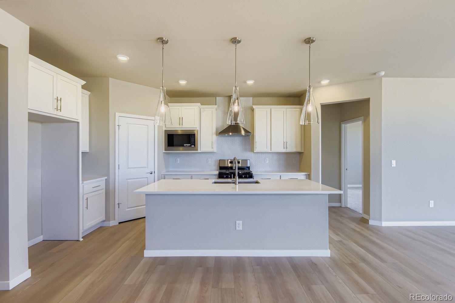 13783 Daffodil Way Parker CO 80134