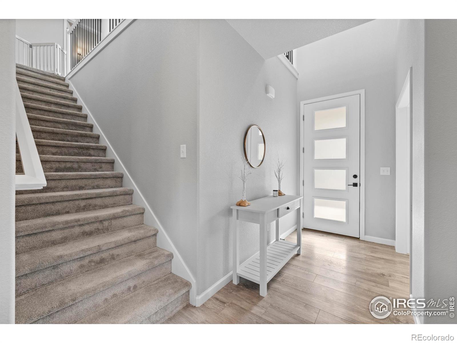 356 Bluestar Drive Windsor CO 80550