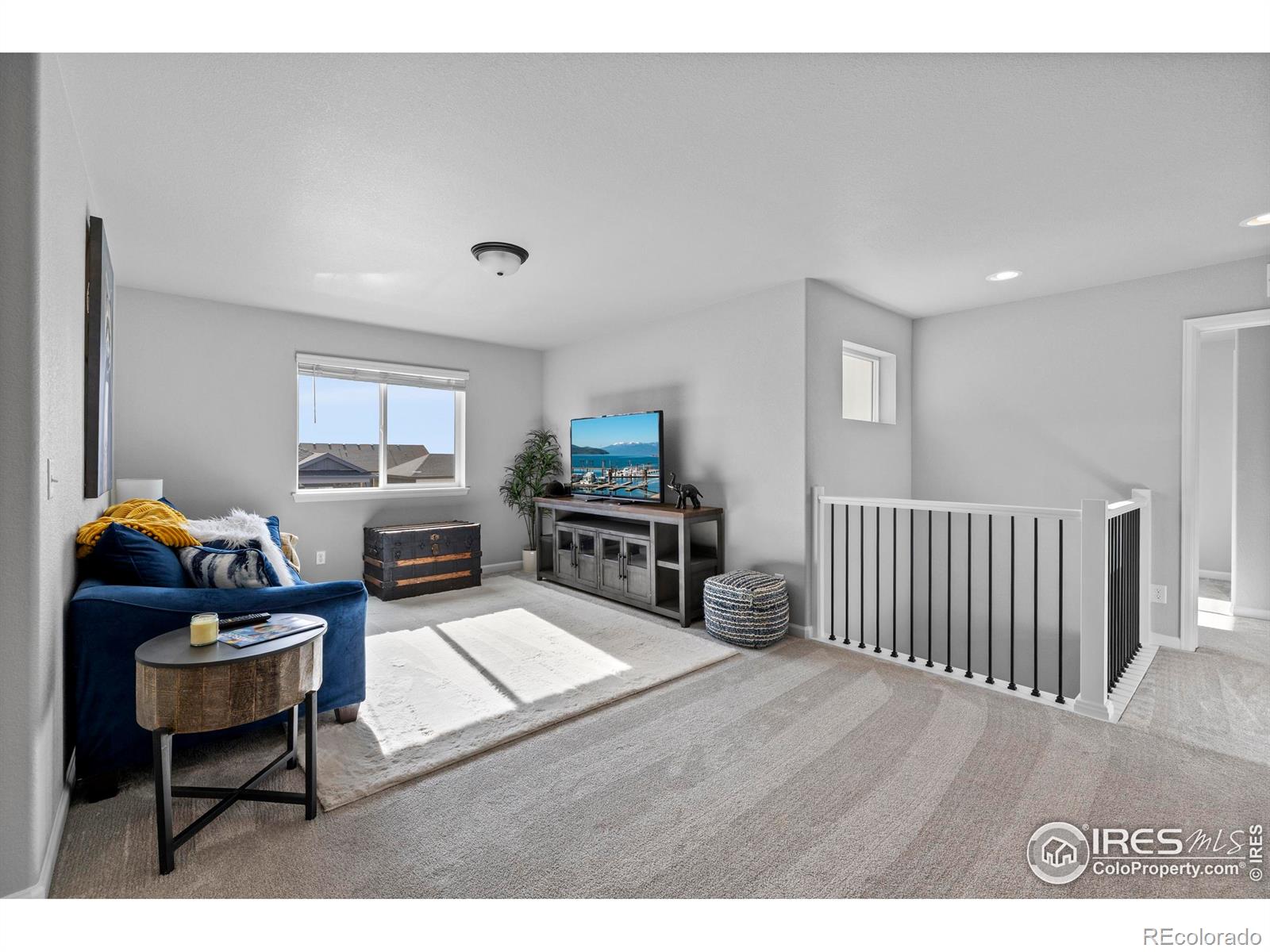 356 Bluestar Drive Windsor CO 80550