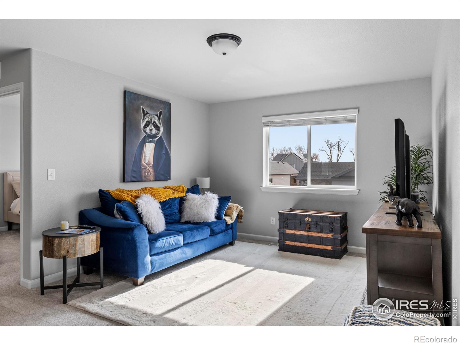 356 Bluestar Drive Windsor CO 80550