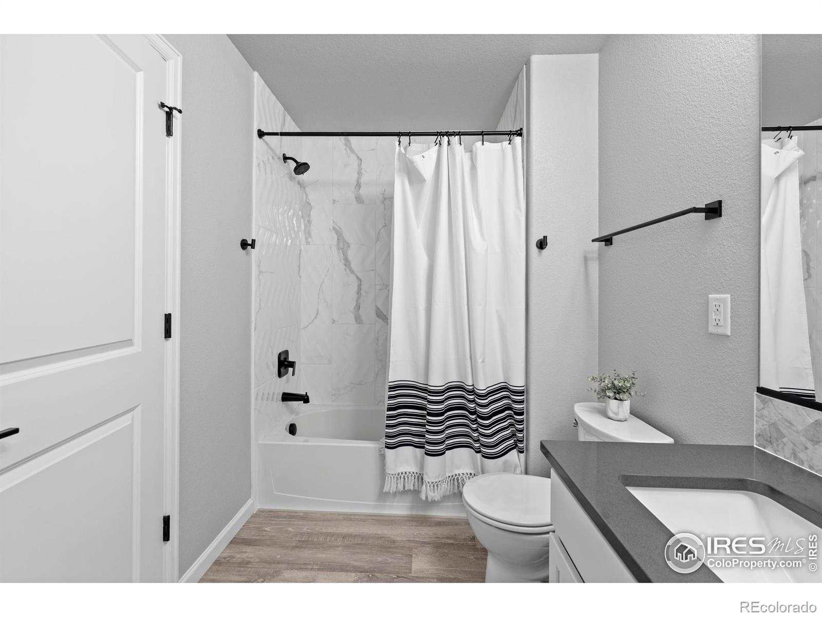 356 Bluestar Drive Windsor CO 80550