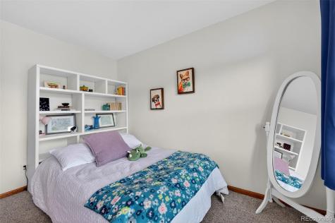 28 Willowleaf Drive Littleton CO 80127