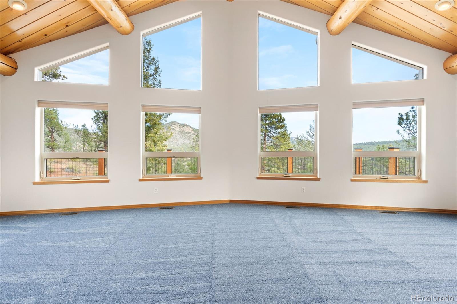 29004 Amerind Springs Pine CO 80470