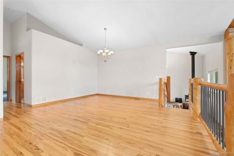 29004 Amerind Springs Pine CO 80470