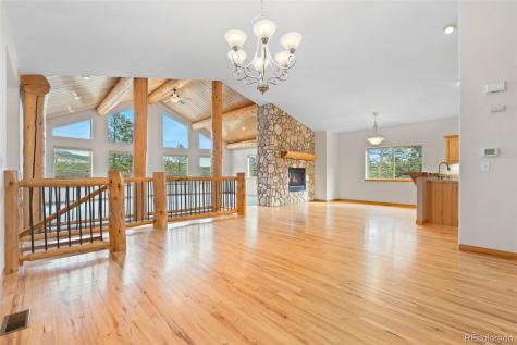 29004 Amerind Springs Pine CO 80470