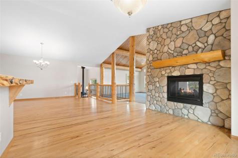 29004 Amerind Springs Pine CO 80470