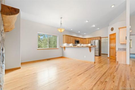 29004 Amerind Springs Pine CO 80470
