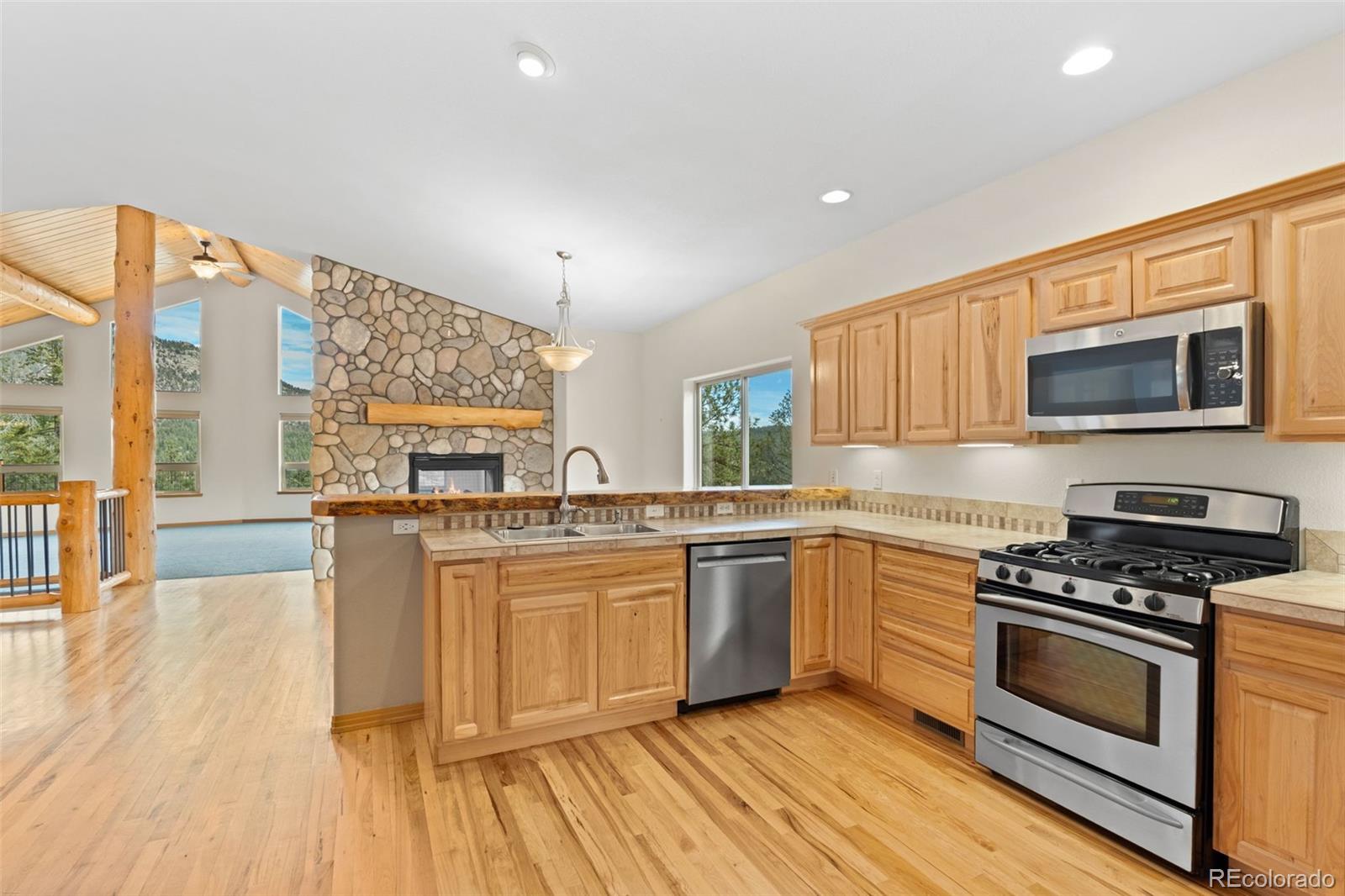 29004 Amerind Springs Pine CO 80470